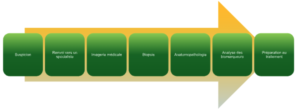 Le parcours diagnostique du CPNPC : depuis la suspicion et le renvoi vers un spécialiste jusqu’à l’imagerie, la biopsie, l’anatomopathologie, l’analyse des biomarqueurs et la préparation au traitement.