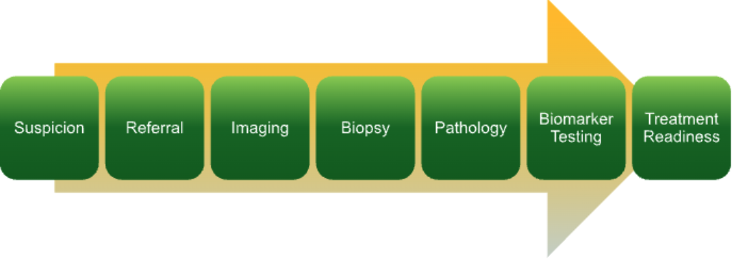The NSCLC diagnostic pathway: from suspicion and referral to imaging, biopsy, pathology, biomarker testing, and treatment readiness.