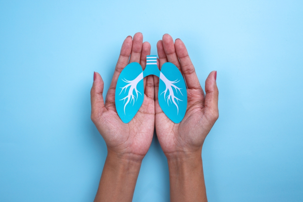 Hands holds lung paper cutout 2024 04 01 17 55 42 utc